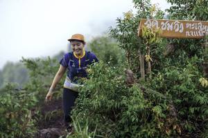 BIB: 
                            <button type="button" onclick="openModal(24740490)" class="btn btn-primary btn-sm float-right btn-popup" data-toggle="modal" data-target=".modal-high-quality">
                        <i class="fas fa-shopping-cart"></i> Add to Cart
                    </button>
                                            <button type="button" onclick="isThisMe(24740490, true)" class="btn btn-success btn-sm float-right btn-popup btn-isme hidden" data-toggle="tooltip" data-placement="bottom" title="นี่คือรูปของคุณใช่ไหม คลิกที่นี่เพื่อเอาเข้าอัลบั้ม">
                        <i class="fas fa-plus"></i> Add to album
                    </button>
                    <button type="button" onclick="isThisMe(24740490, false)" class="btn btn-warning btn-sm float-right btn-popup btn-isnotme hidden">
                        <i class="fas fa-ban"></i> Remove from album
                    </button>